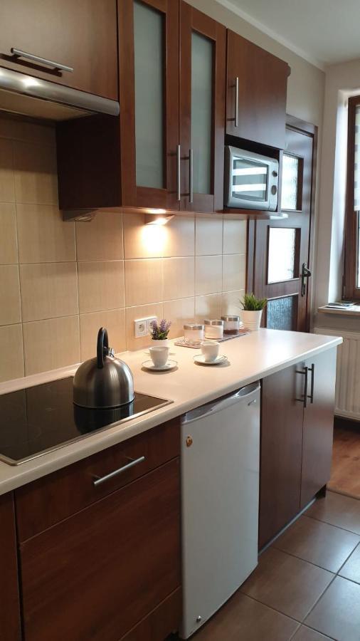 Kaizen Apartament Krynica Zdroj Luaran gambar
