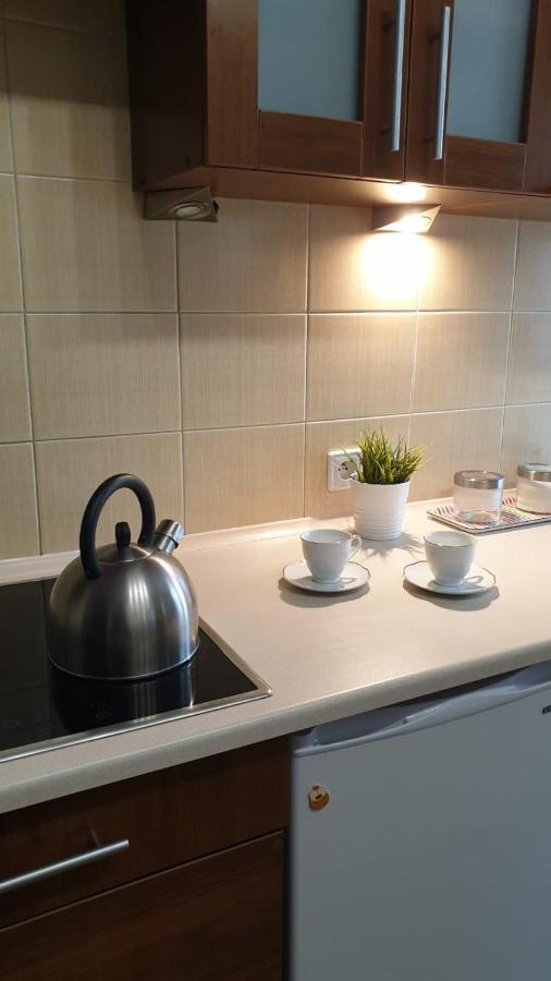 Kaizen Apartament Krynica Zdroj Luaran gambar